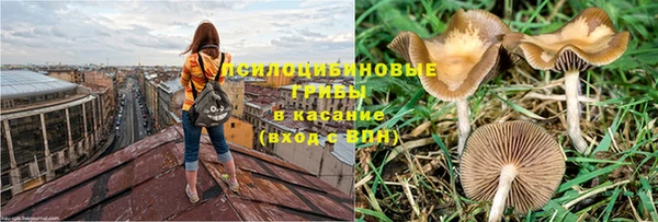герыч Алексин