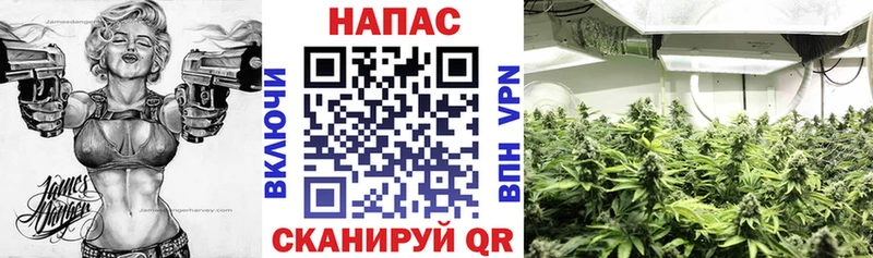 Канабис SATIVA & INDICA  наркотики  Череповец 